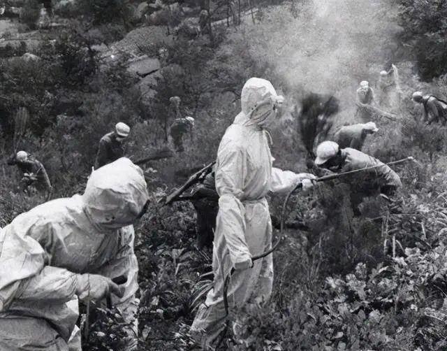 1952年，志愿军遭遇细菌战。李克农建议党中央：尽量冷处理
