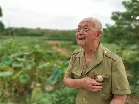 上甘岭战役中，志愿军蒋诚毙敌数百记一等功，三十年后才收到喜报