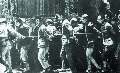 1939年，一八路军战士被关进狼狗池，他拉起武术架势，让凶兽臣服